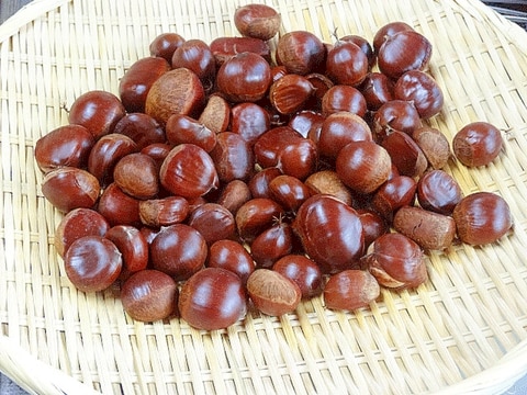 栗の茹で方と剥き方&冷凍保存